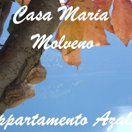 Apartamento Casa Maria Molveno Habitación foto