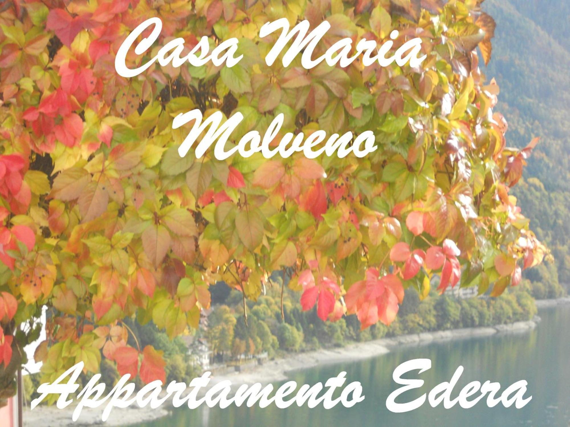 Apartamento Casa Maria Molveno Habitación foto